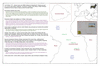 coo1f25 atlantic 2_thumb.gif